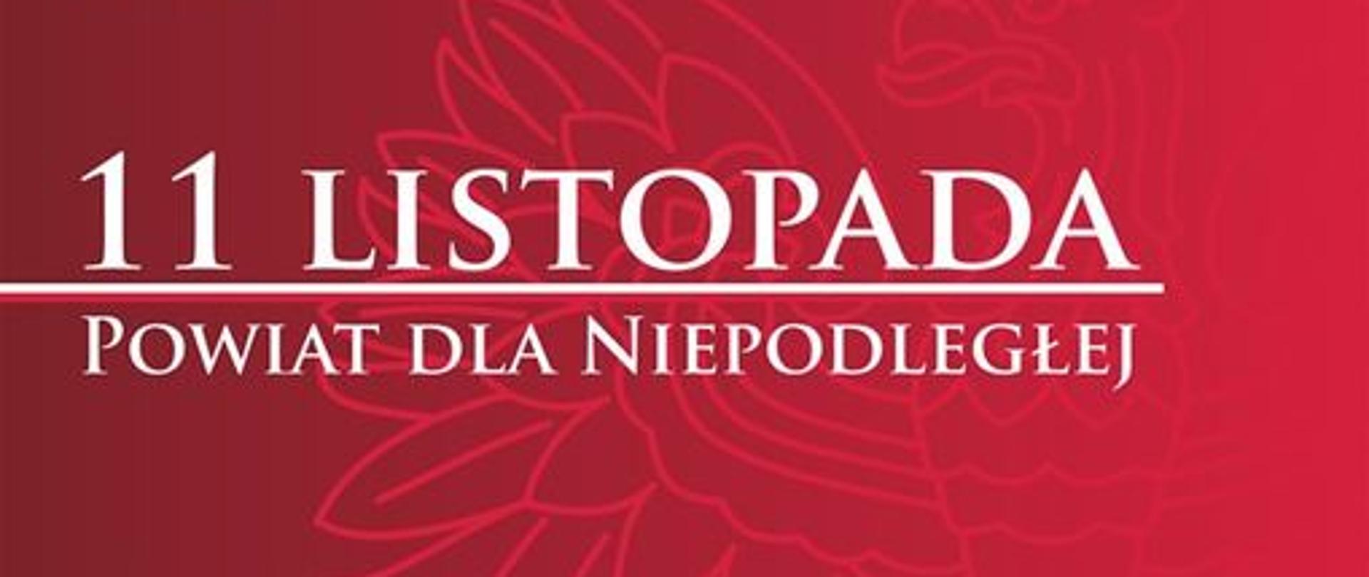 Powiat dla Niepodległej - plakat