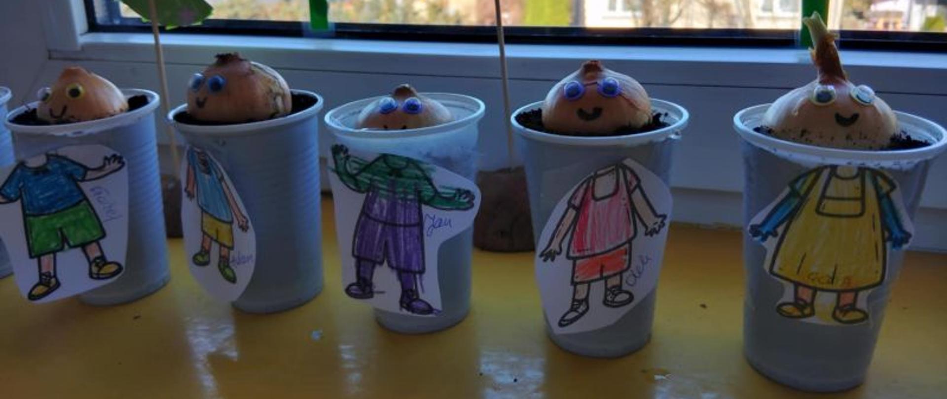 Kolorowe sadzonki Żubrów