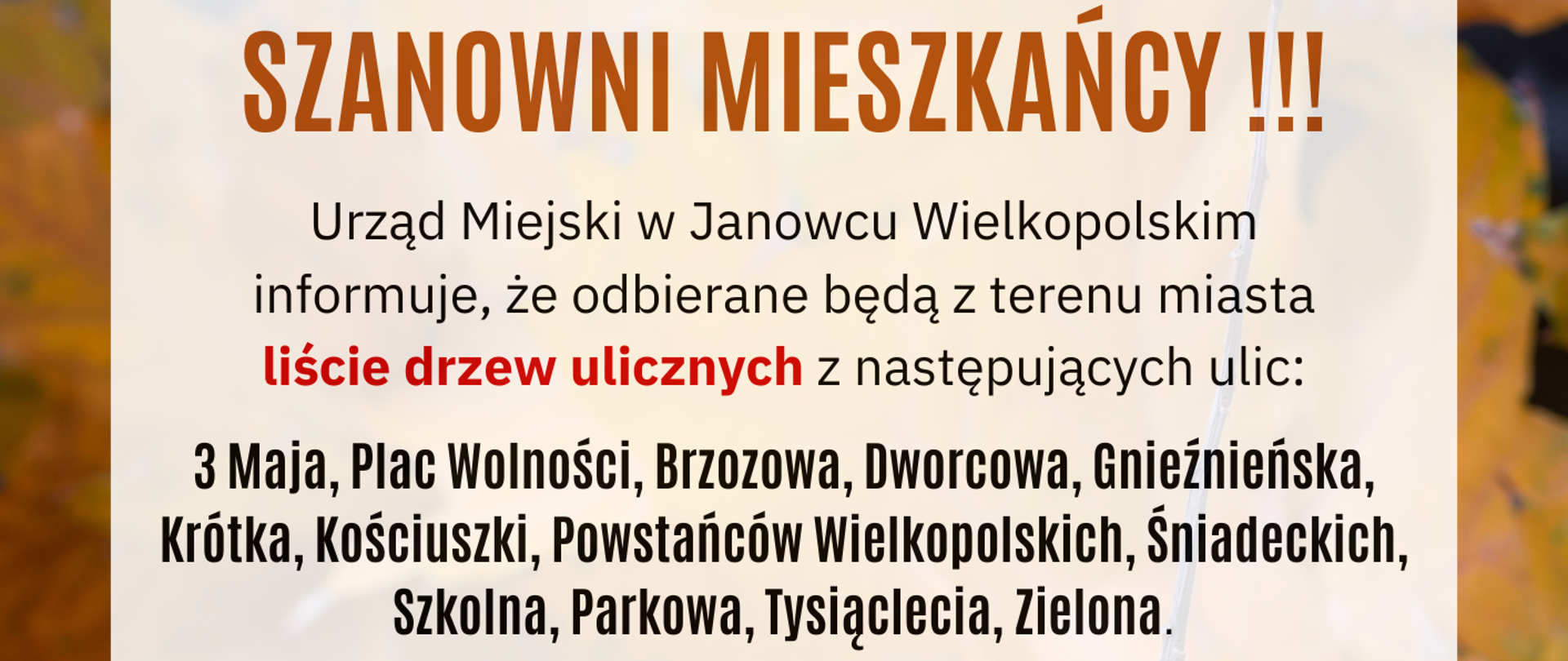 Liście drzew ulicznych - informacja
