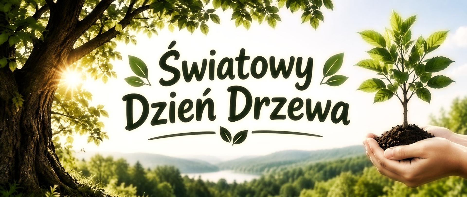 Banner Światowy Dzień Drzewa – 10 października