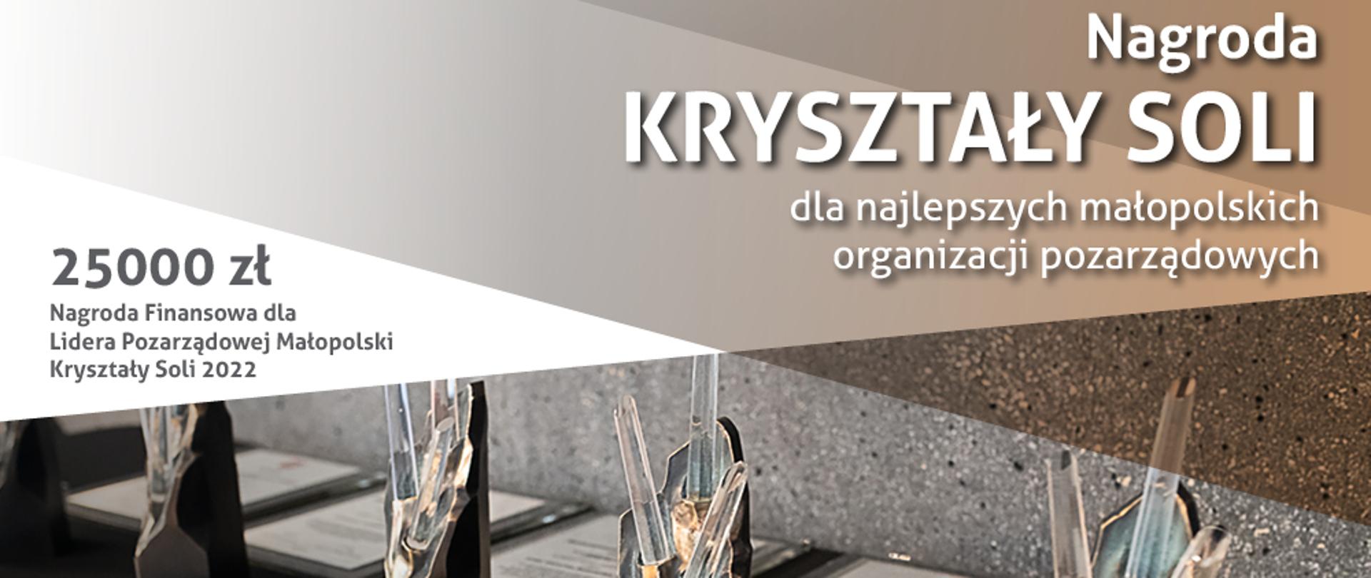 Plansza informacyjna - Nabór zgłoszeń do Nagrody Kryształy Soli 2022 rozpoczęty. W górnej części opis, w dolnej statuetka. 