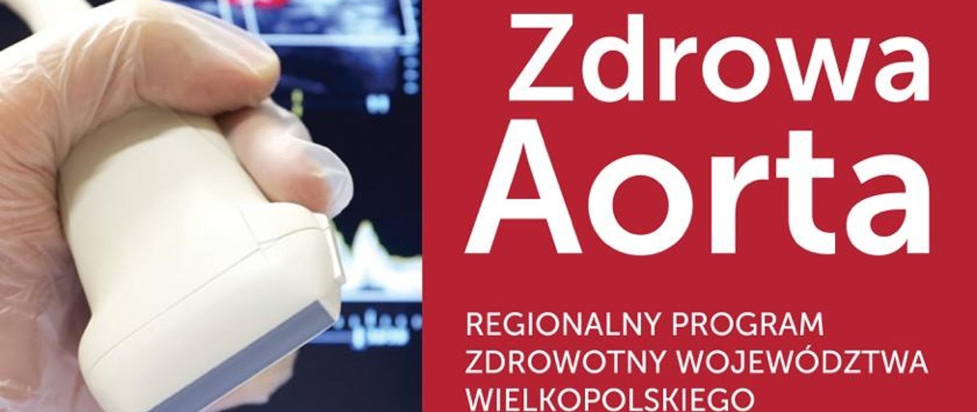 Zdrowa aorta - logo