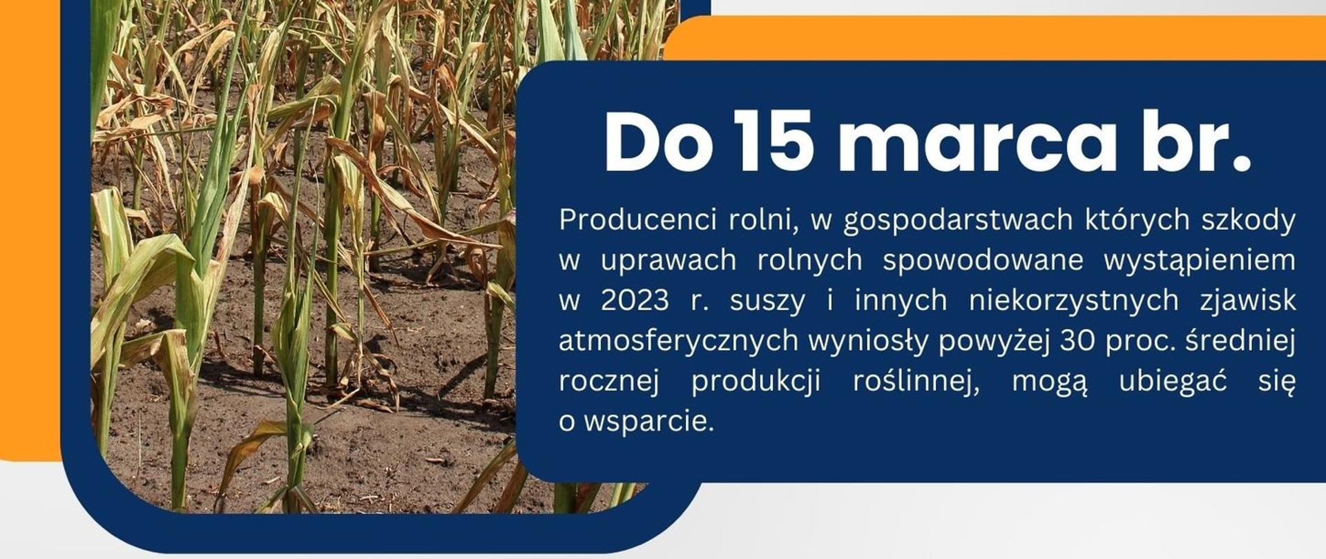 Wszystkie informacje znajdujące się na plakacie zapisane są w artykule.