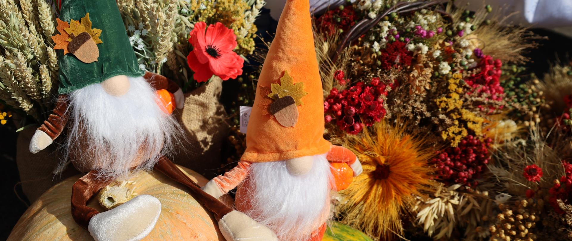 Gminne Święto Dyni i Pieczonego Ziemniaka w Bierówce 