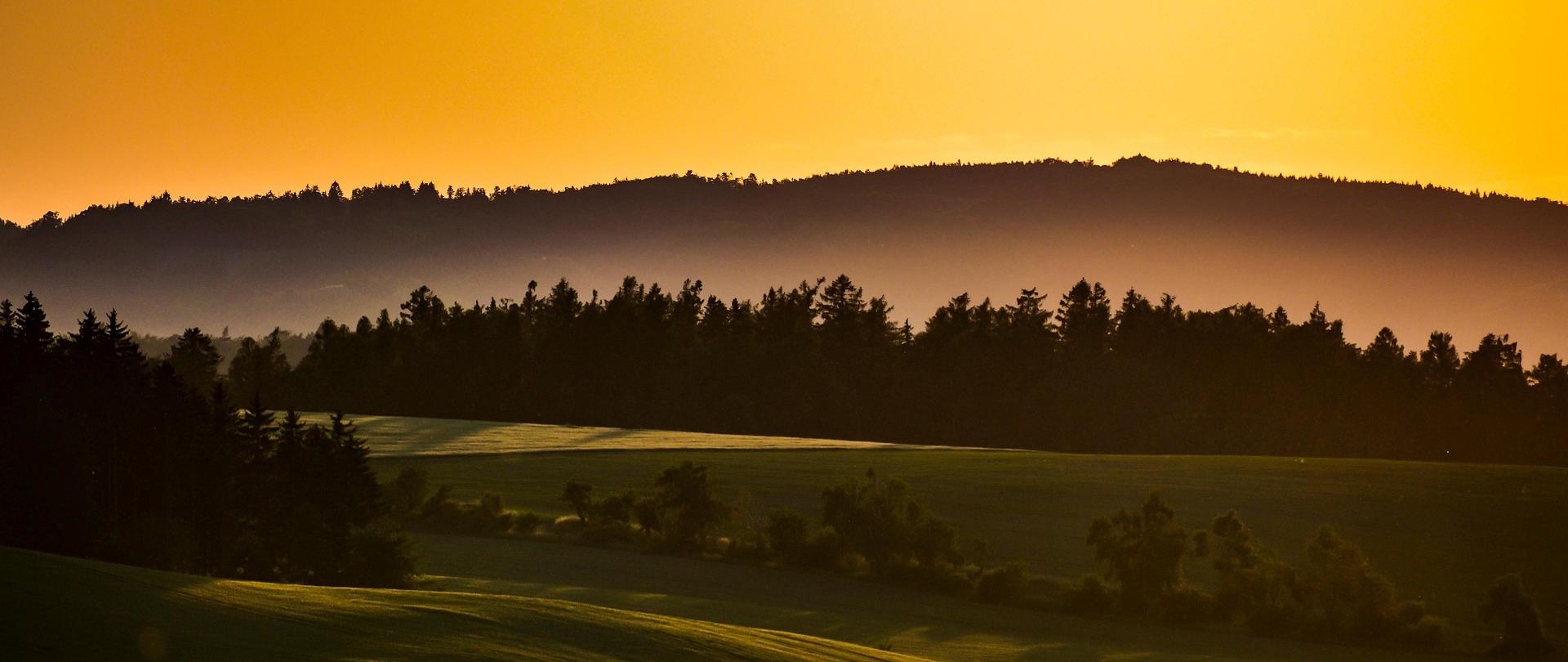 Wieczorny krajobraz pola i łąki, w oddali las nad którym unosi się mgła